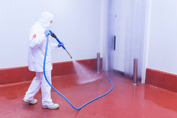 Best Sidewalk and Walkway Cleaning  in Gerald, MO